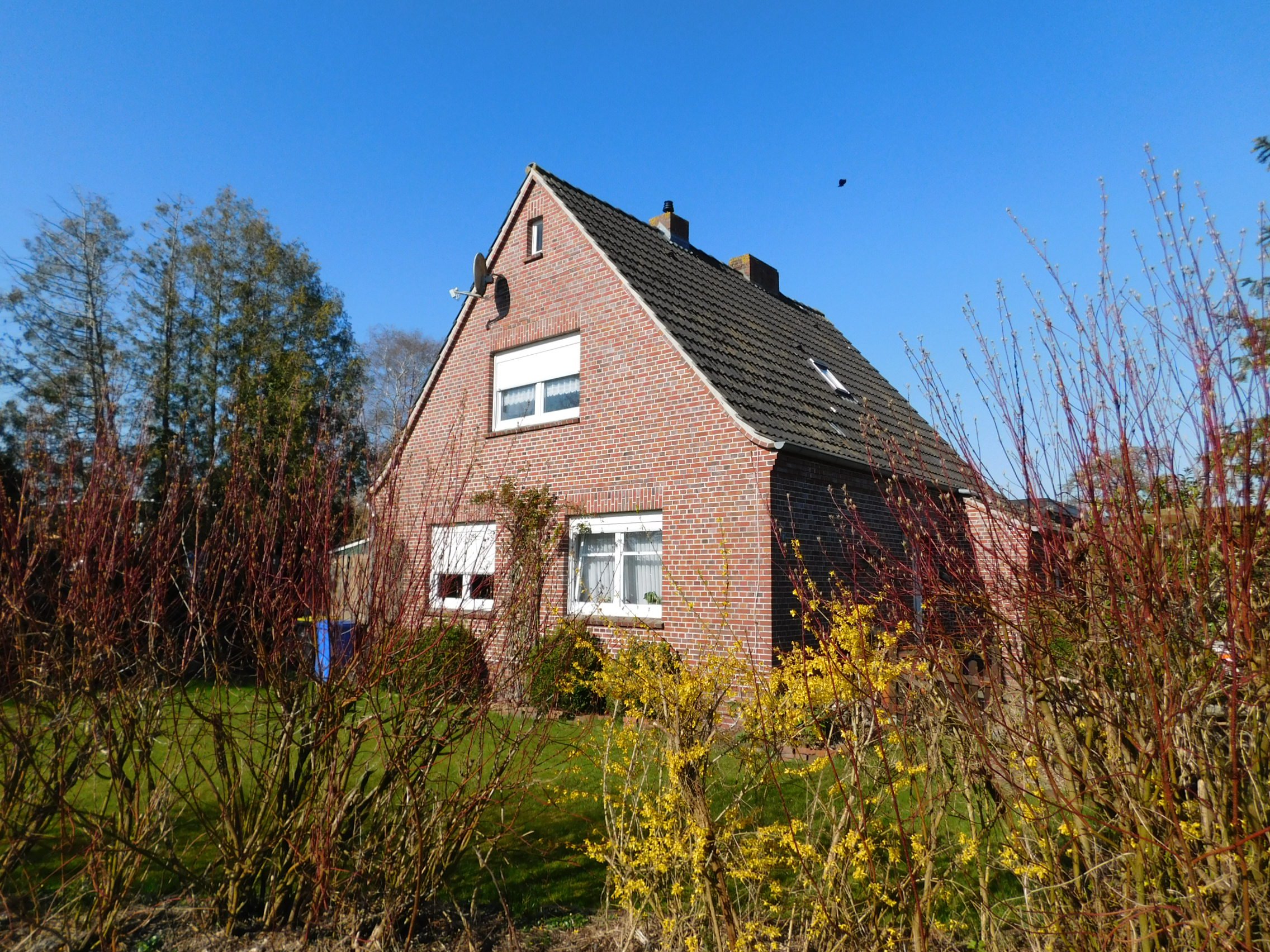 Foto WIESMOOR: Wohnhaus