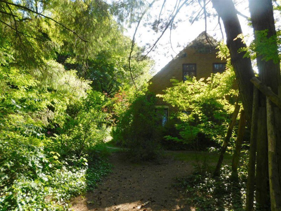 Ansicht Land- / Forstwirtschaft Wiesmoor