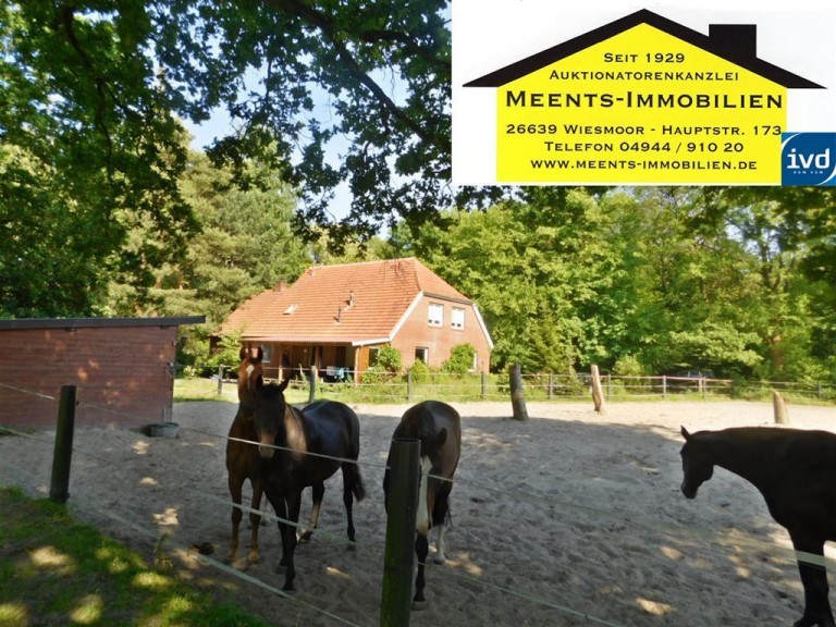 Ansicht Wiesmoor Land- / Forstwirtschaft Ideal f�r Pferdehalter: Hof zum Ausbauen direkt am Wald!