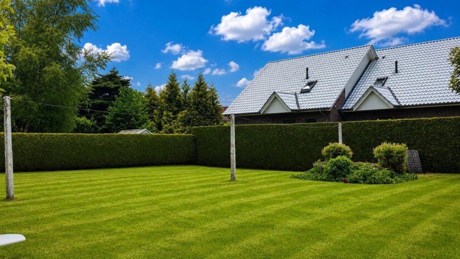 Garten Einfamilienhaus Wiesmoor