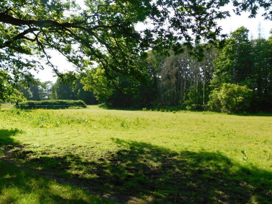 Weide Land- / Forstwirtschaft Wiesmoor