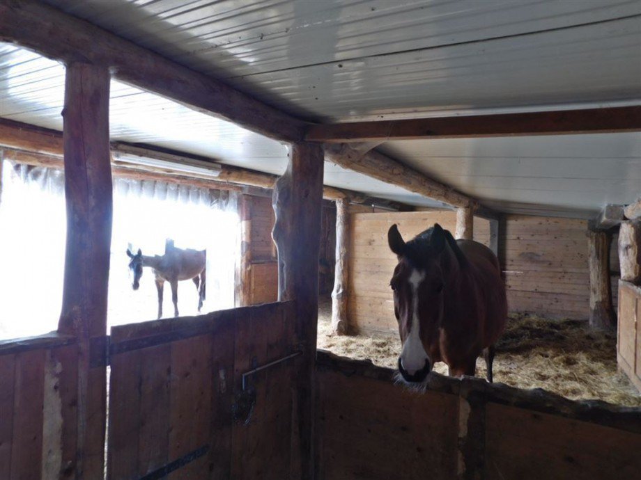 Unterstand innen Land- / Forstwirtschaft Wiesmoor